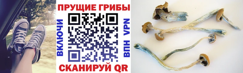 Псилоцибиновые грибы MAGIC MUSHROOMS Поронайск